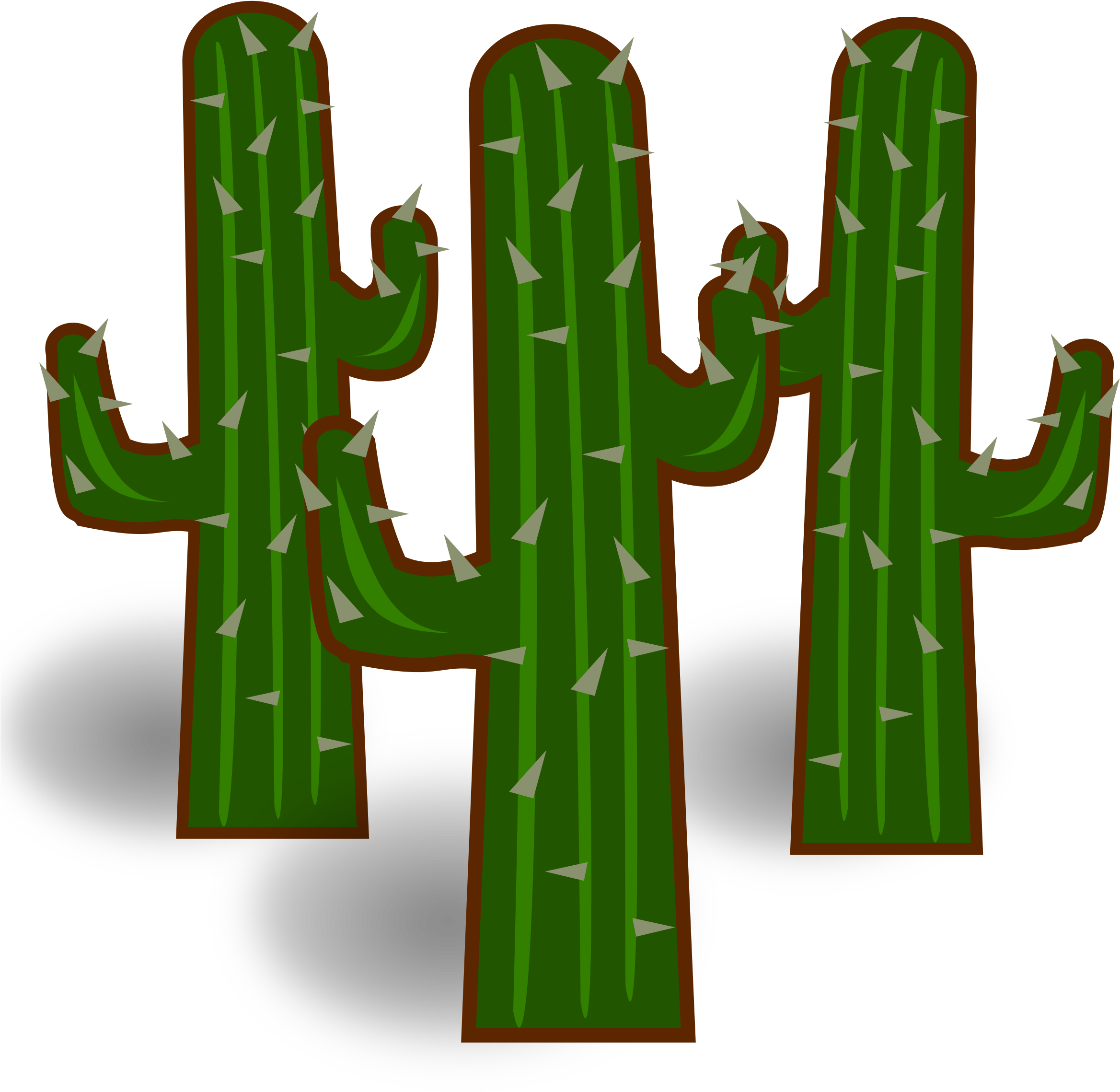 Cactus Clipart Background (800x800), Png Download