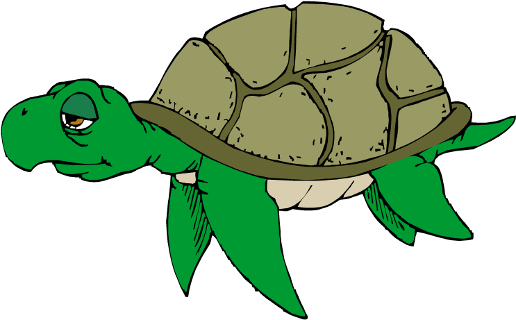 Turtle Clipart Png Transparent - Old Sea Turtle Clipart (750x461), Png Download