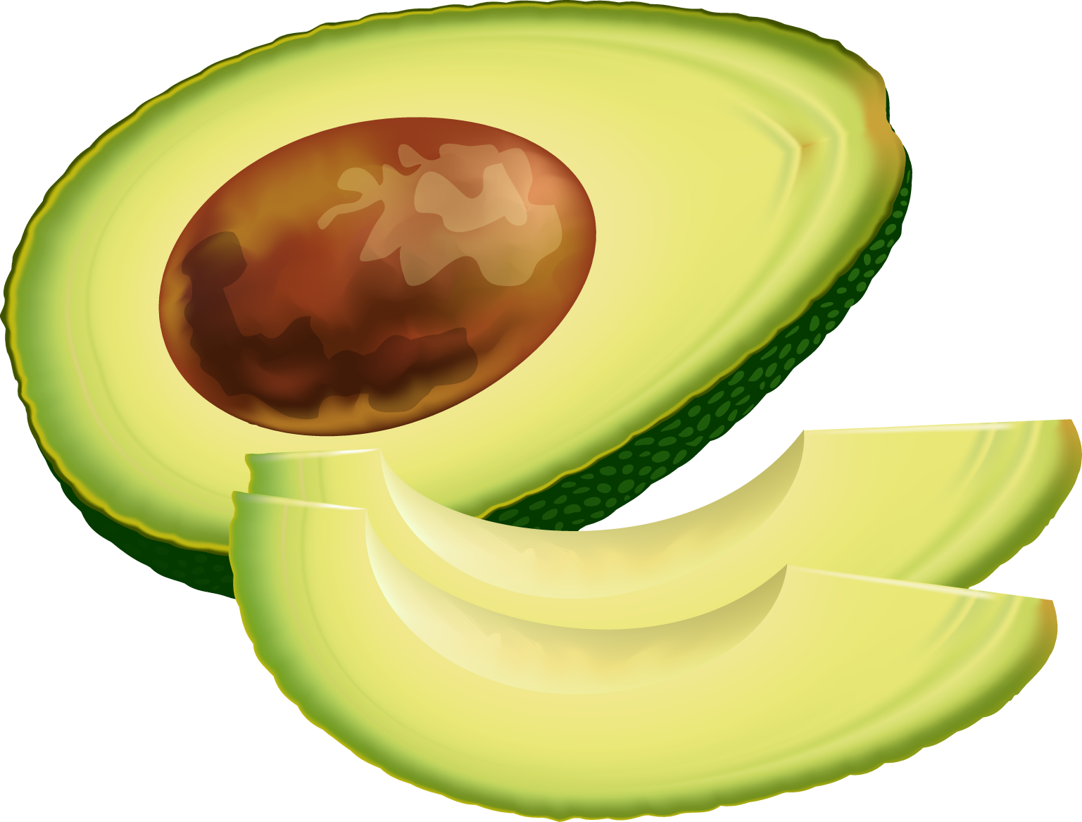 Fruit Clip Art Graphics - Avocado Clip Art Free (1537x1167), Png Download