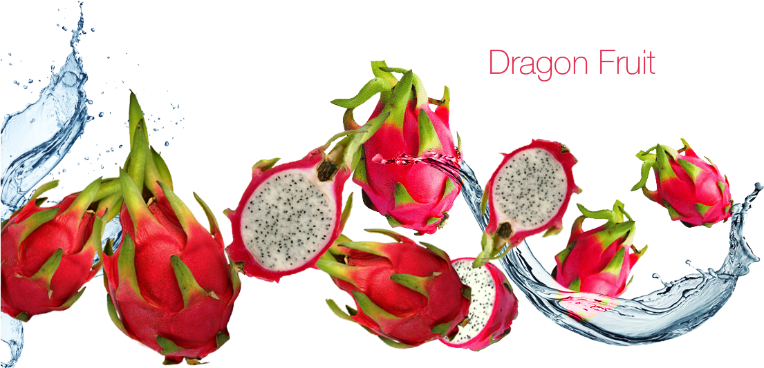 Download Transparent Dragon Fruit - Red Dragon Fruit Png - PNGkit