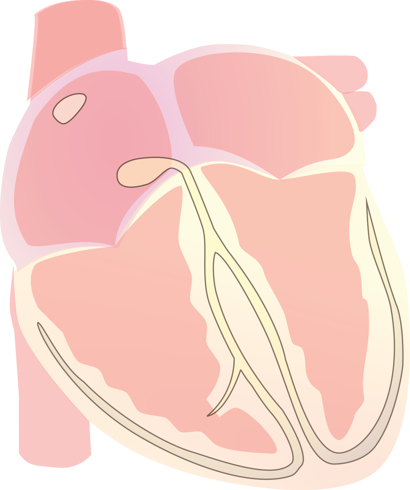 Heart Vector Electrical S Wave - Wikimedia Commons (1404x1677), Png Download