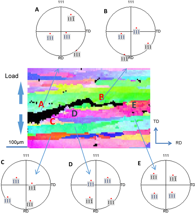 Ebsd Map Of Crack Propagation - Circle (903x720), Png Download
