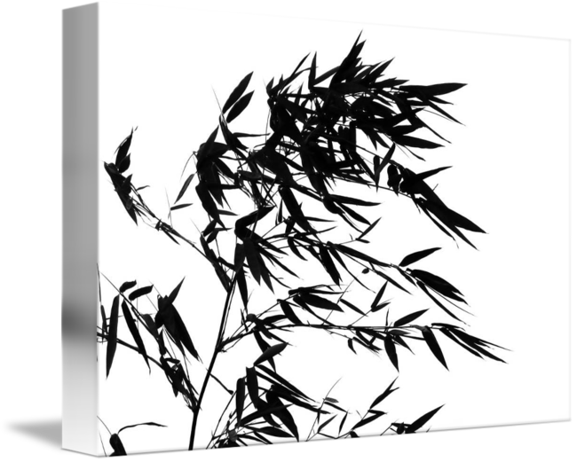 Bamboo Tree Swaying In The Breeze By Yali Shi Png Stock - Tree In The Wind (650x521), Png Download