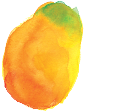 Mango (480x480), Png Download
