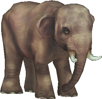 Borneo Pygmy Elephant , M1 (469x374), Png Download