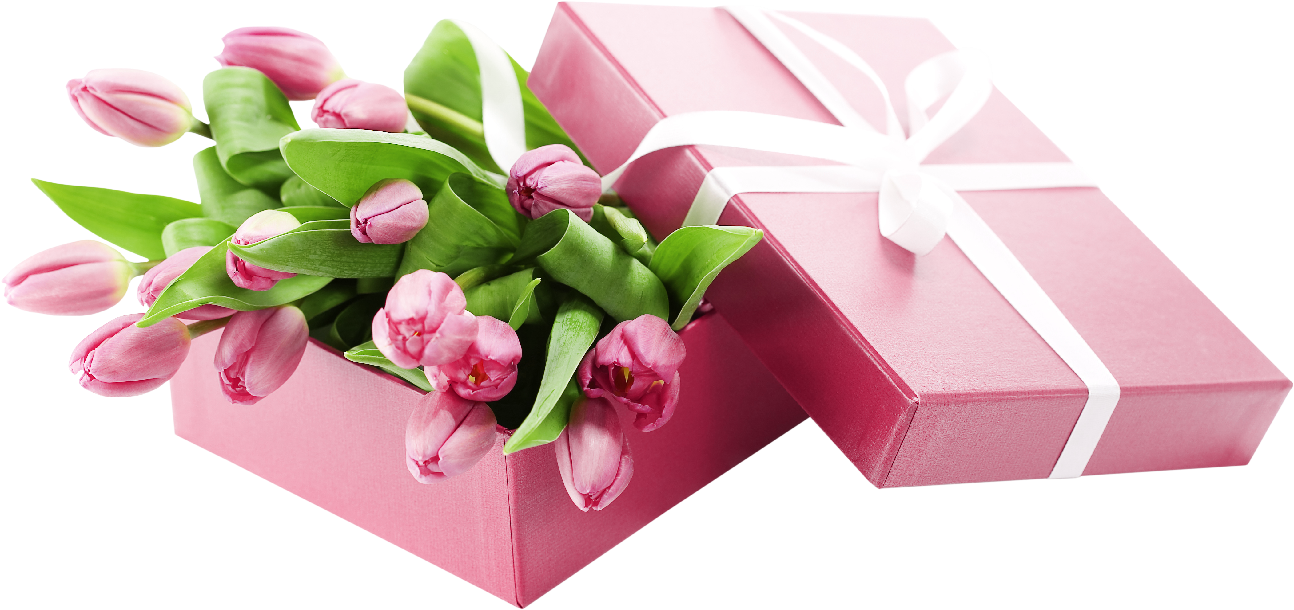 Big Pc - Tulips Png (4368x2154), Png Download