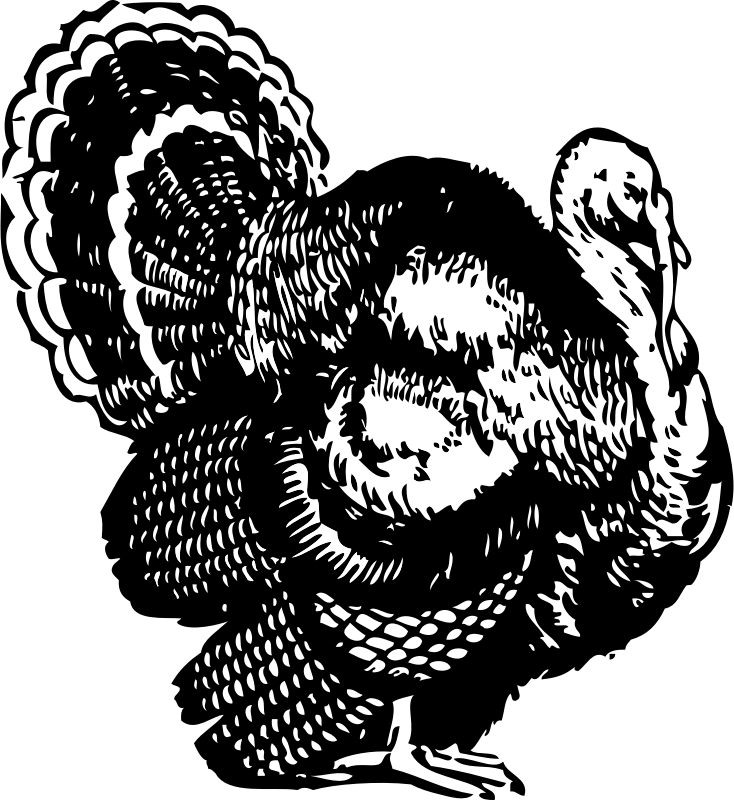 Line Drawing Of Turkey At Getdrawings - Turkey Clipart Black And White (734x800), Png Download