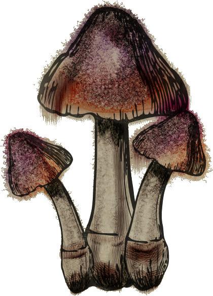 Bleedingcrown - Skyrim Bleeding Crown (420x584), Png Download