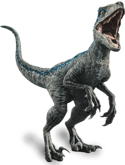 Fallen Kingdom Blue The Velociraptor By Sonichedgehog2-dc80trd - Blue Jurassic World Png (561x704), Png Download
