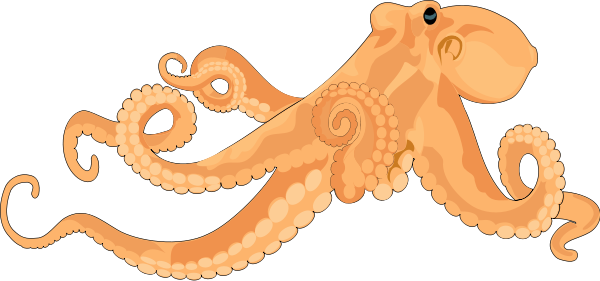 Octopus 02 Clipart Png (600x281), Png Download