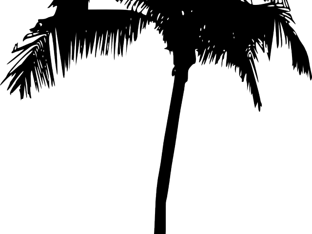Palm Tree Silhouette Png (640x480), Png Download