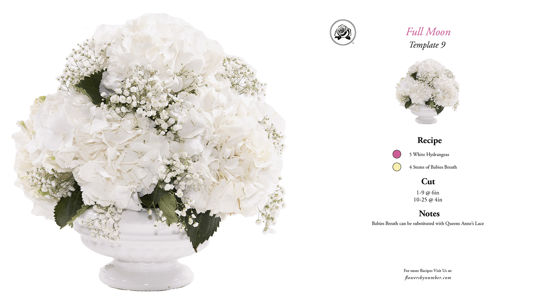 Fbn Arrangement And Recipe 0026 White Full Moon - Common Peony (1800x1000), Png Download