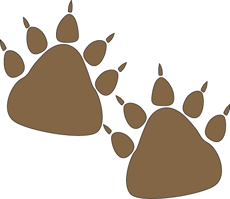 Bear Paw Prints - Bear Paw Prints Clipart (463x401), Png Download