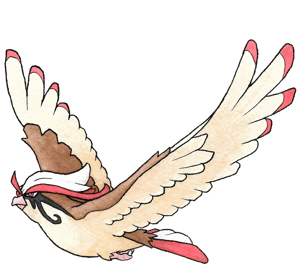 They Gave Pidgeot Mascara Tears - Pigeons And Doves (1000x908), Png Download