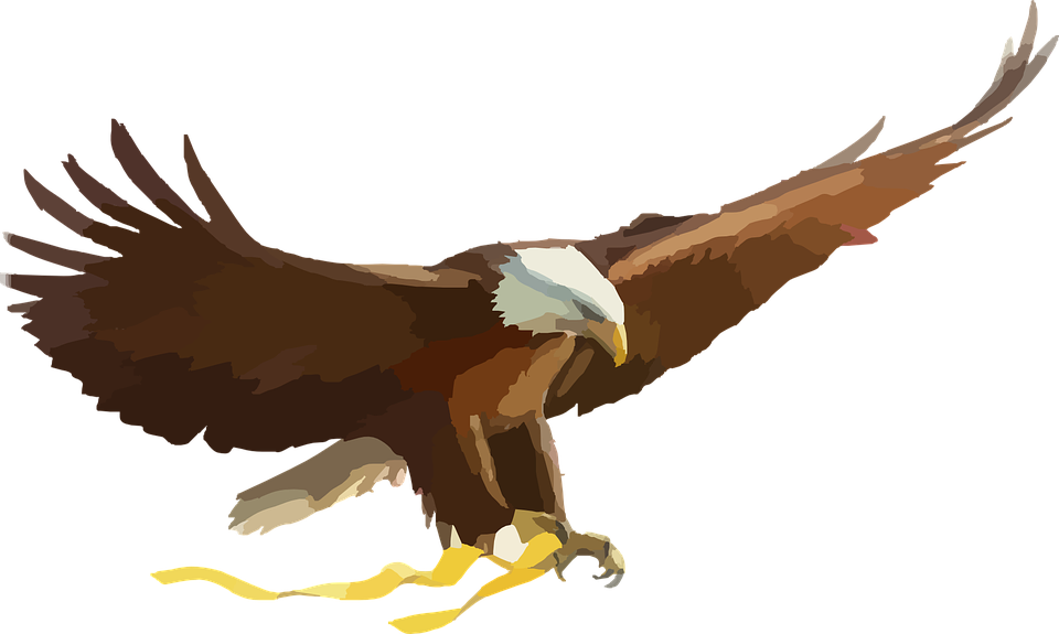 Eagle Flying Clipart - Eagle Clipart Png (600x360), Png Download