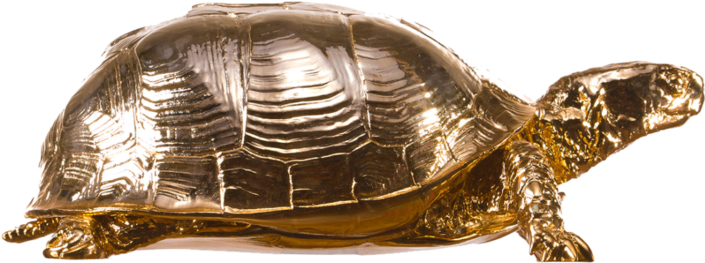 Box Turtle Png Picture - Areaware Chrome Turtle Box (1024x414), Png Download
