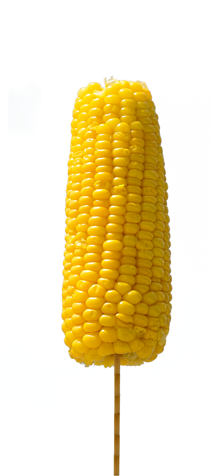Download Corn Kernels Full Size PNG Image PNGkit