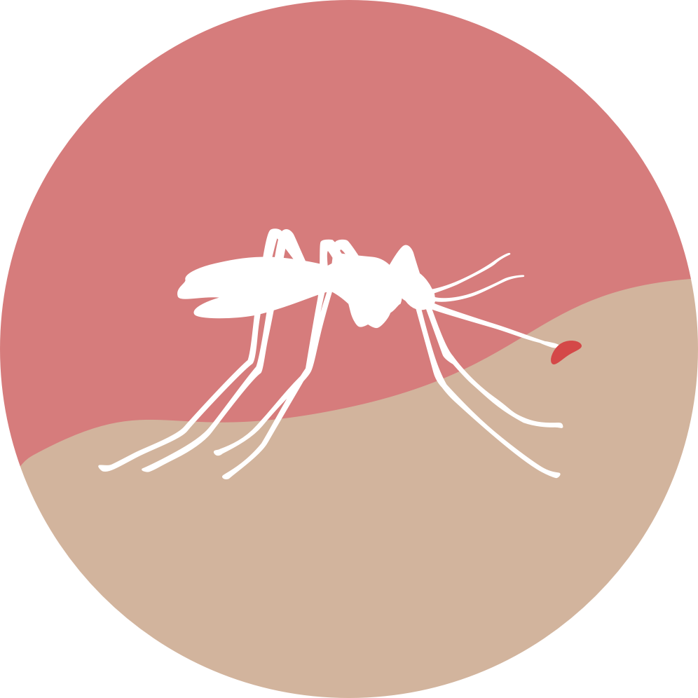 November 20, - Zika Graphic (996x996), Png Download