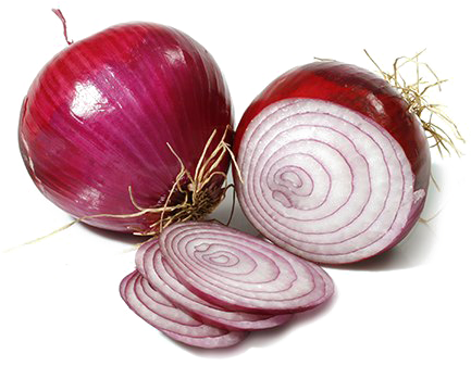 Sliced Onion Transparent Background Png - Portable Network Graphics (450x342), Png Download