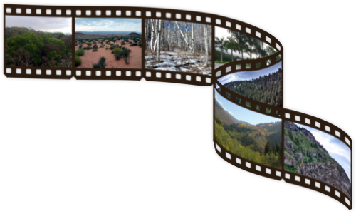Film Negative Roll Png Wwwimgkidcom The Image Kid - 9 Film Strip Png (500x300), Png Download