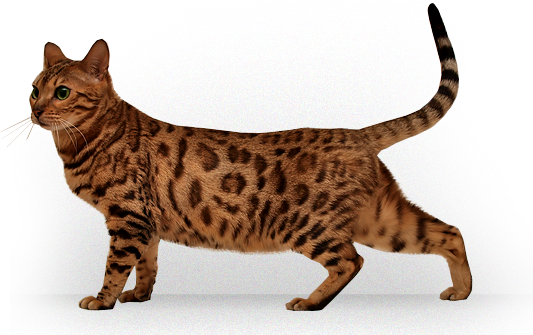 Logo Png 去 被 (545x334), Png Download