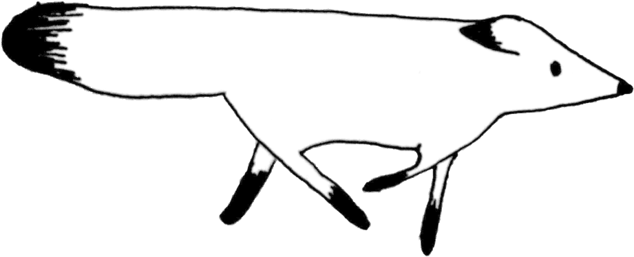 Website Fox (1000x455), Png Download