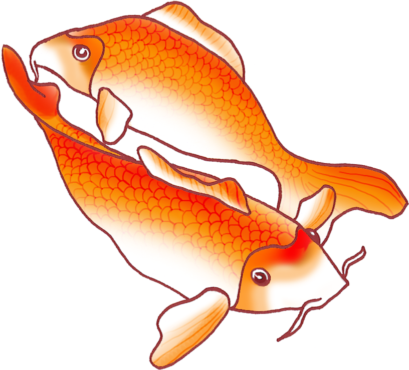Download Download Svg Library Download Red Fish At Getdrawings Com Free Fish Drawings Png Full Size Png Image Pngkit
