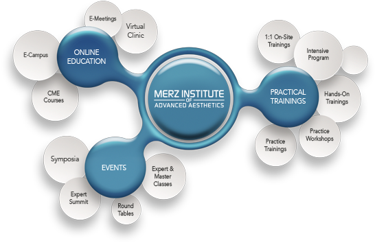 Established In 2016, The Merz Institute Of Advanced - Diagram (600x402), Png Download