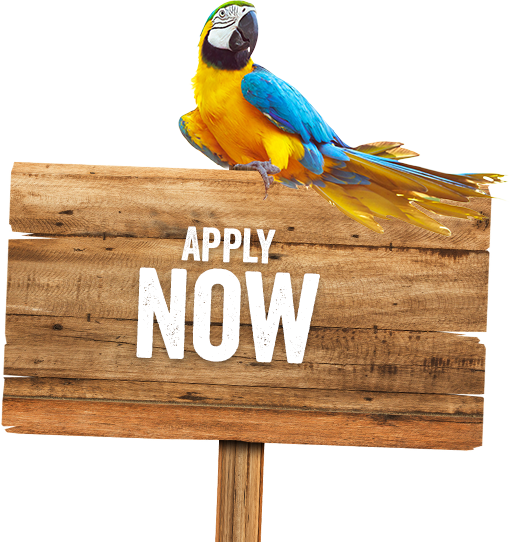 Job Posting Supporting Image - Wooden Sign Board Png (513x542), Png Download