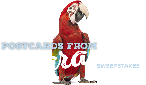 Postcards From Paradise Sweepstakes - Red-and-green Macaw (468x274), Png Download
