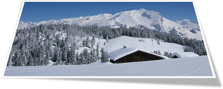 Located At An Altitude Of 1500 Metres, On The La Croix - Snow (750x299), Png Download