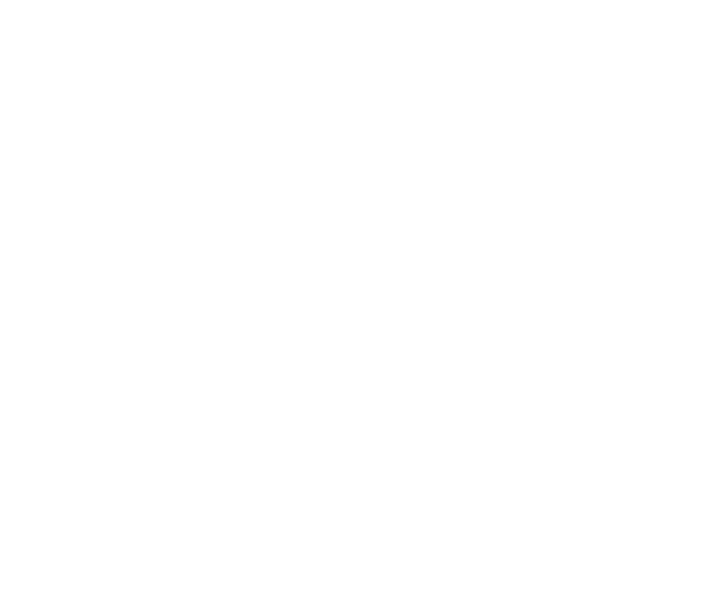 Footer Logo - Performer Stuff (800x667), Png Download