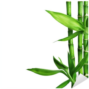 Free Bamboo Border Png - Myworkbook With Chapter Summaries For Basic College (400x400), Png Download