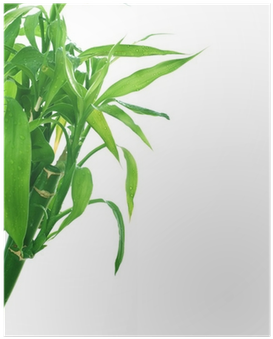 Grass (400x400), Png Download