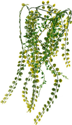 Nature-inspired Fluval Chi Vine Ornament Adds An Abundance - Fluval Chi Vine Ornament (400x400), Png Download