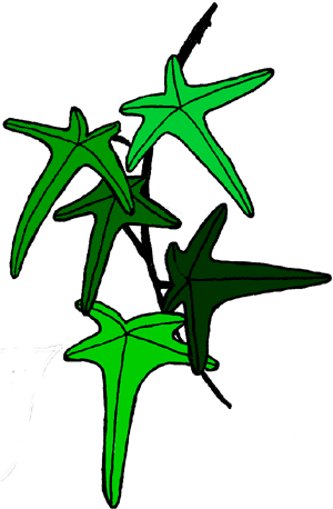 Clip Art (300x458), Png Download