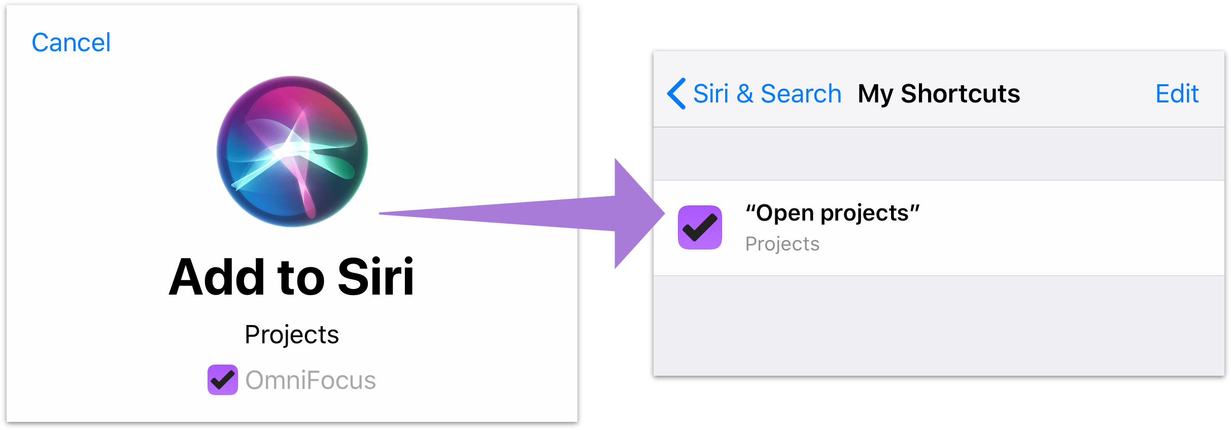 The Add To Siri Voice Recorder In Ios - Siri (2426x848), Png Download