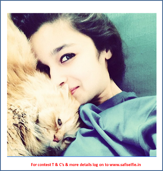 Photo - Alia Bhatt With Cat (530x558), Png Download