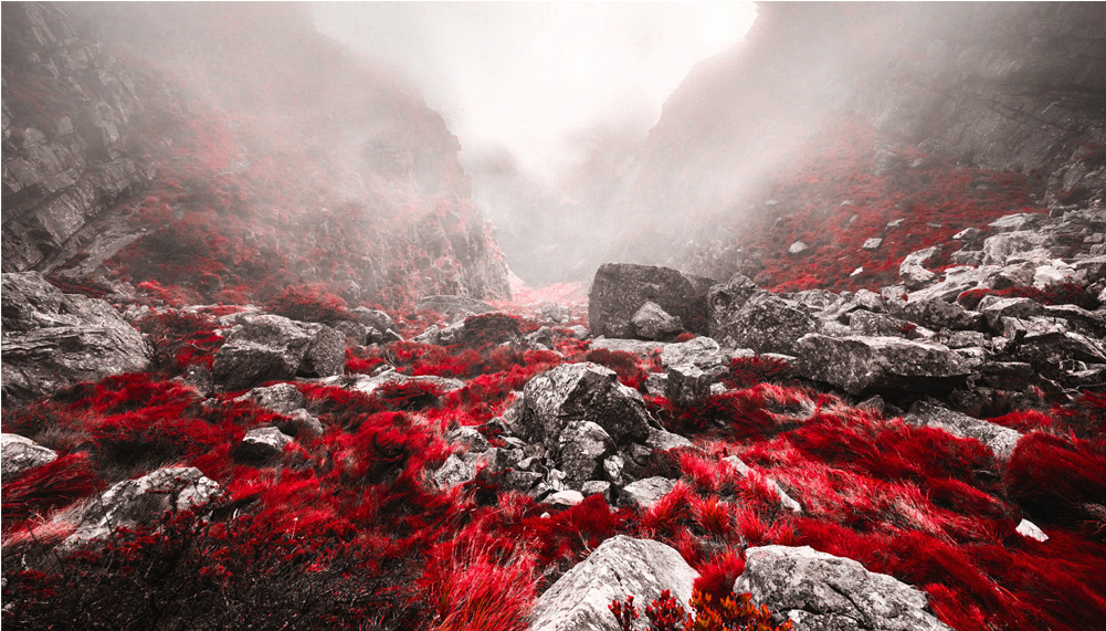 Score 50% - Grassy Mountains (1000x1000), Png Download