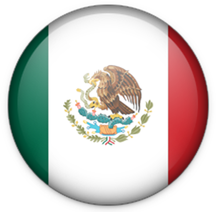 Mexican Coffee - Mexico Flag Icon Png (449x448), Png Download