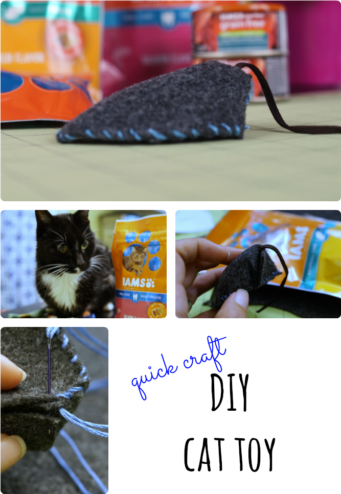 Making A Cat Toy Is Easier Than You Think Check Out - Cat (700x1000), Png Download