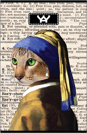 Yaywallet Ultra Slim Credit Card Holder - Mauritshuis (600x600), Png Download
