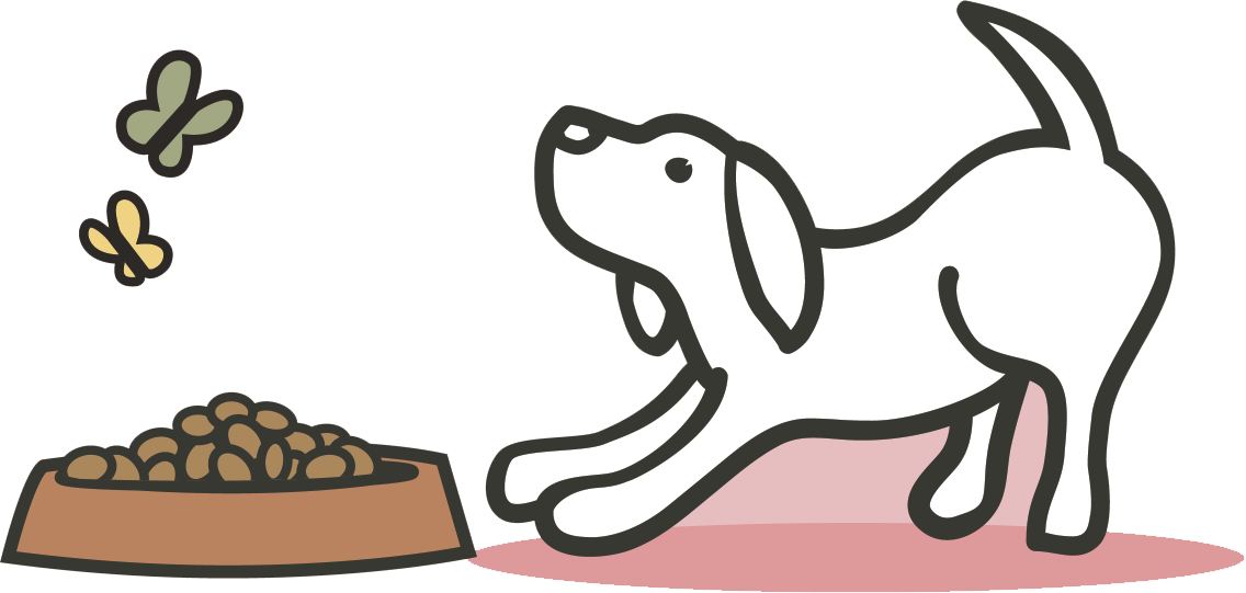 Puppy - Kitten (1136x541), Png Download