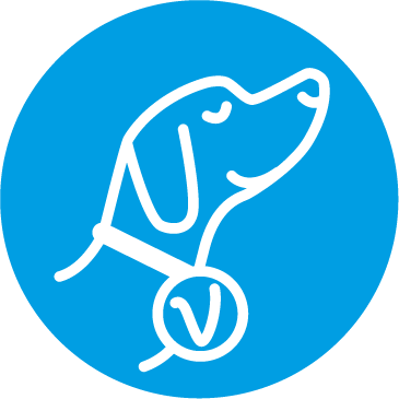 Dog (365x365), Png Download