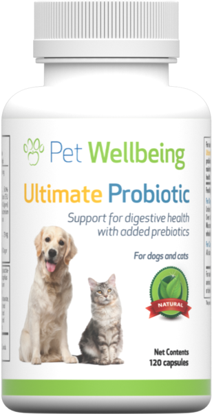 Pet Wellbeing - Urinary Gold Daily For Cats - Natural (327x600), Png Download