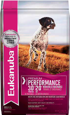 Adult 30/20 - Eukanuba Premium Adult Performance 30/20 Dog Food 29 (400x476), Png Download