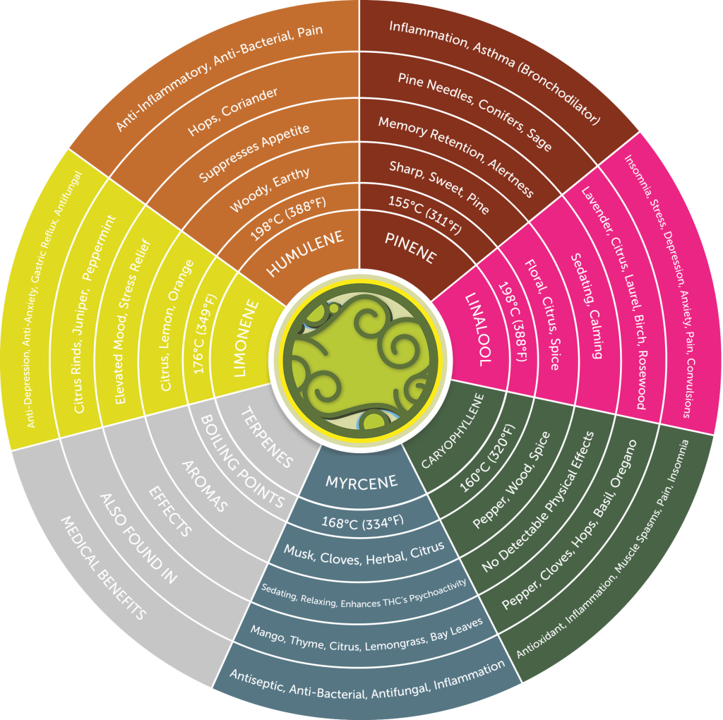 Of Scents Coming From The Next Jar Of Bud You Open - Cannabis Terpene Effect (1024x1020), Png Download