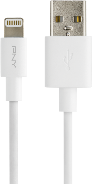 /data/products/article Large/883 20170203114249 - Pny Charge & Sync - Lightning Cable - Male 4 Pin (800x800), Png Download