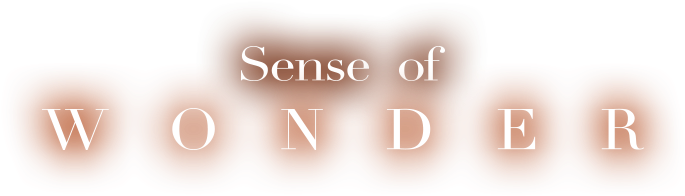 Sense Of Wonder - Sensorium (684x253), Png Download