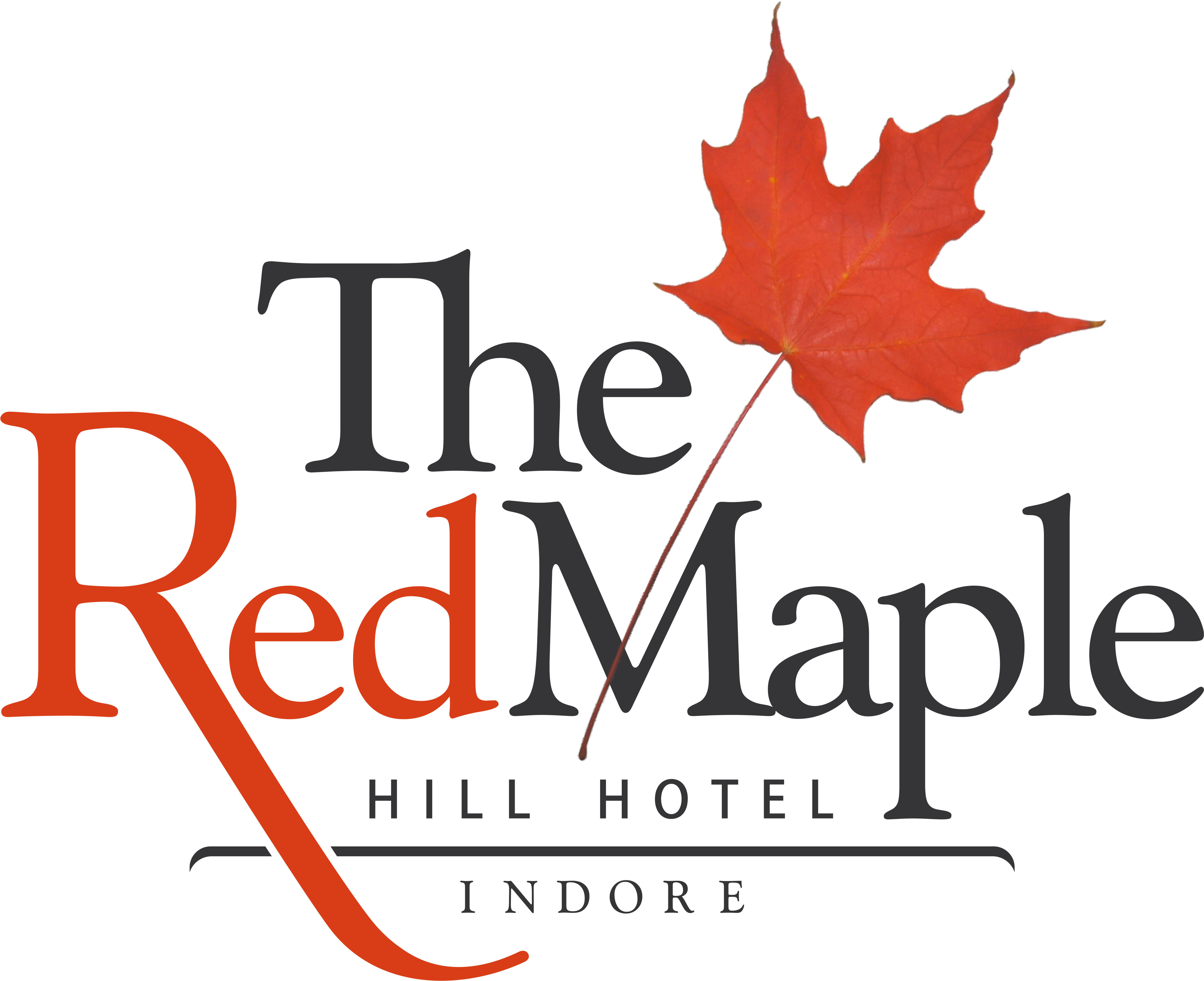 Dear All, The Red Maple Hill Hotel, Indore Is Looking - Red Maple Mashal (4752x3941), Png Download